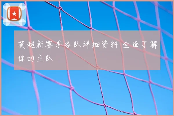 英超新赛季各队详细资料 全面了解你的主队